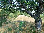 IMG_20250810_142214.jpg