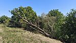IMG_20250812_125411