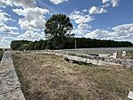 IMG_1466