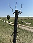 IMG_1522