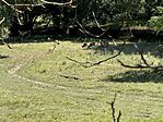IMG_1543