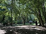 IMG_1572