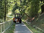 IMG_1573