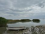 IMG_1602