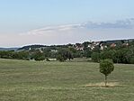 IMG_1598