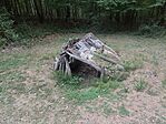 IMG_20250802_165725
