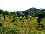 Kilátás