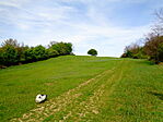 Domboldal