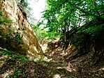 Szurdok