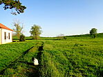Puszta