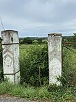 IMG_7934