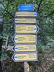 IMG_8139