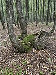 IMG_8148