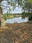 IMG_8332