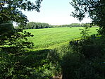DSC04864