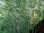 DSC04865