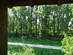 DSC04869