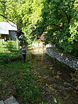 DSC05038