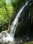 DSC05043