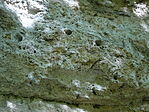 DSC05045