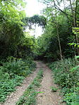 DSC05119