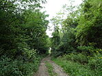 DSC05120