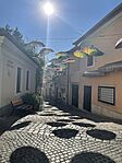 IMG_6405