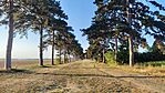 IMG_20250813_185531