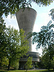 A nagytesó