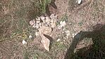IMG_20250813_120734