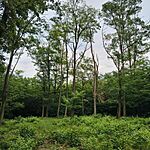 IMG_20250803_134707850_HDR