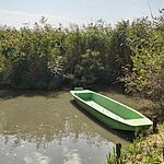IMG_20250830_120808269_HDR