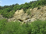 IMG_8903