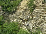 IMG_8921