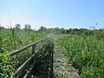 IMG_8943