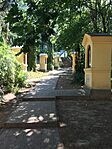 IMG_0443