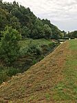 IMG_0477