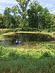 IMG_0514