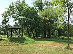 IMG_0520