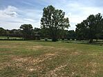IMG_0521