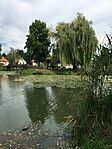 IMG_0529