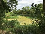 IMG_0621