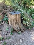 IMG_20250808_144013