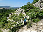 DSC00500