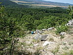 DSC00502