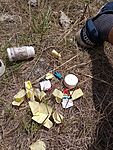 IMG_20250731_142934424_MFNR
