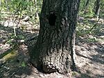IMG_20250802_142150713_MFNR