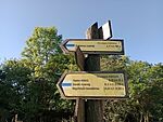 IMG_20250830_083054644_MFNR