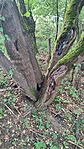 IMG_20250817_102017