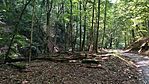 IMG_20250802_142529
